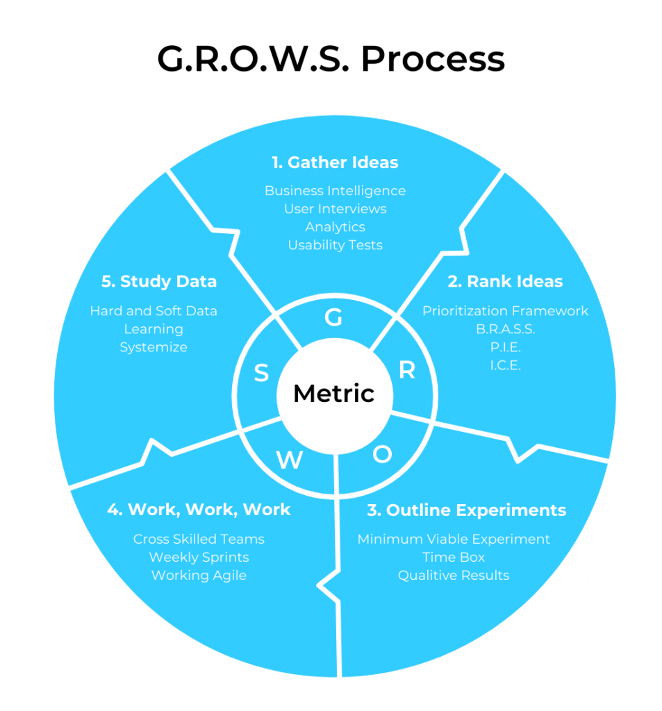 The Growth Tribe G.R.O.W.S. Process