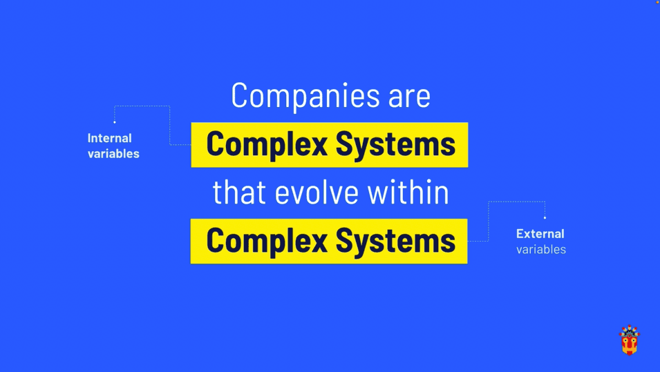 Companies are complex systems that evolve within complex systems.